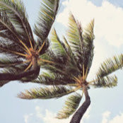 Liz Reifsnyder's photo