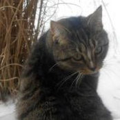 Carol Anderson's photo