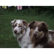 Debbie Mitchell's photo