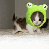 Michelle Ouyang's photo
