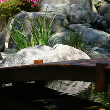 Bassin à Koï