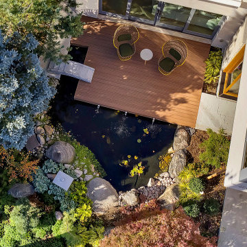 Contemporary Japanese Garden