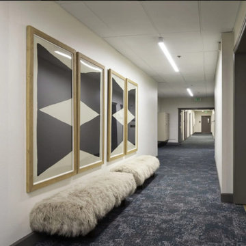 Liam Apts: Multi-fam building remodel & furniture package