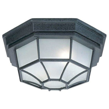 Capital Lighting 2 Lamp Outdoor Ceiling Light 9800BK - Black