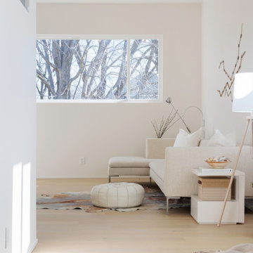 Modern Minimal Renovation + Addition