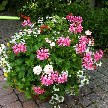 Summer Urns/Planters