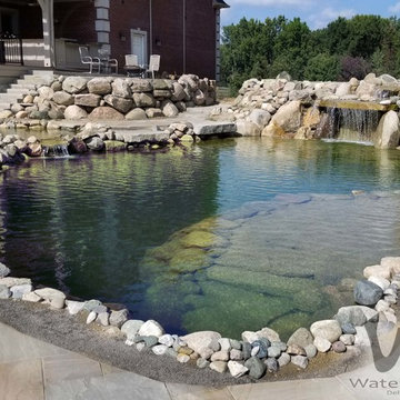 Water Feature - Pond