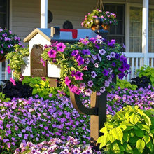Mailboxes