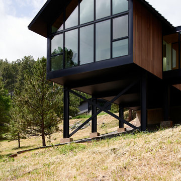 Pine Tree House