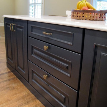 Wilmette Kitchen Update!