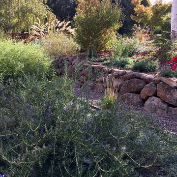 Lawn Replacement in a Challenging Environment