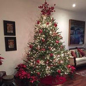 Andrea Solis's photo
