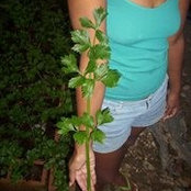 Hezma Trini's photo
