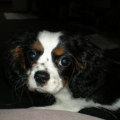 George Summers's photo