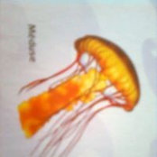Chantal Charlet's photo