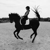 Shelley Brown's photo