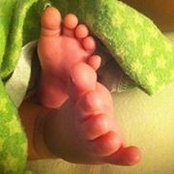 Photo de Danielle Williams