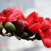 Phan Hườngさんの写真