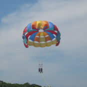 Nyla Ahmad's photo