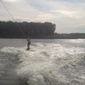Dan Avramescu's photo