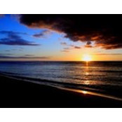Jonathan Fraser's photo