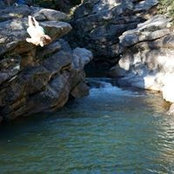 Karol Sawa's photo