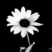 Lorna C's photo