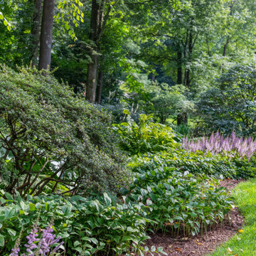 Woodland Park-Like Estate