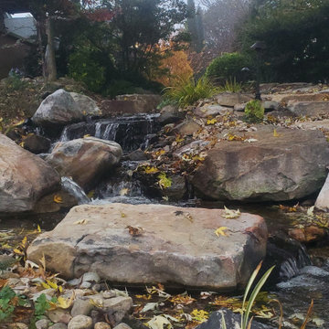 Stream side stroll