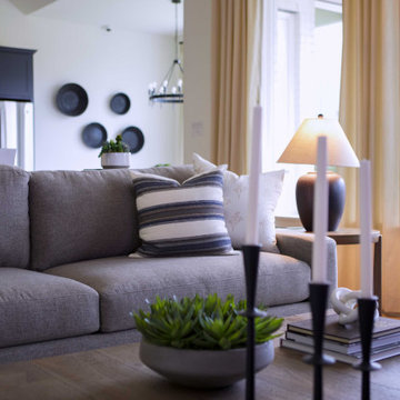 Solterra Texas in Mesquite, TX // Davis S5205Plan // Shaddock Homes