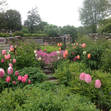 Spring Bulb Designs
