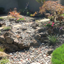 Landscape Ideas