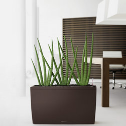 Modern Planter - Home Decor