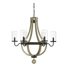 Back Porch Chandelier