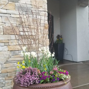 Pot is Ready for Its Close-Up