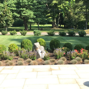 Stamford Modern - Planting Improvements & Zen style garden
