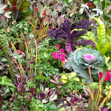 Annuals & Perennials