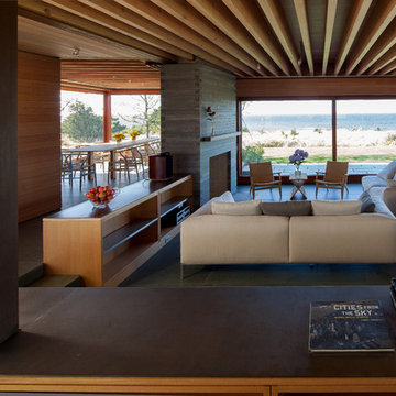 Contemporary Living Room