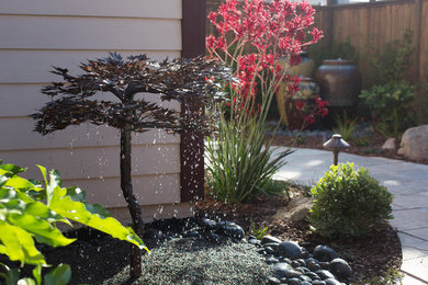 Photo of a transitional garden in San Luis Obispo.