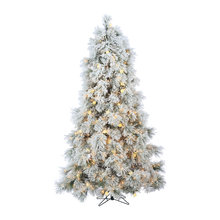 Wish List