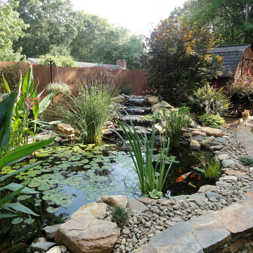 Waterfalls & Ponds