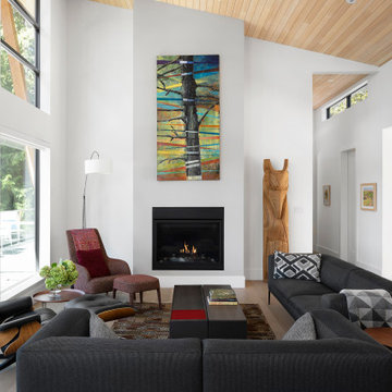 Stunning modern home in the woods