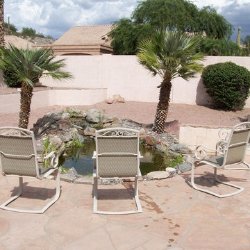 Bolnick Backyard Ecosystem Pond in Phoenix, AZ