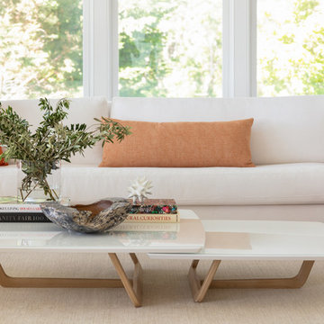Aldrich Lane Project