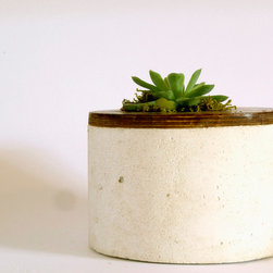 Mr Clooney Planter - Indoor Pots And Planters