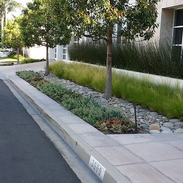 Drought Ready and Beautiful