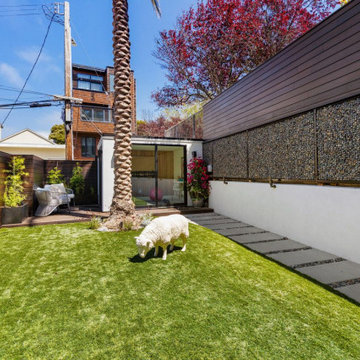 Skyward Living: A Contemporary Transformation in the Heart of Cow Hollow