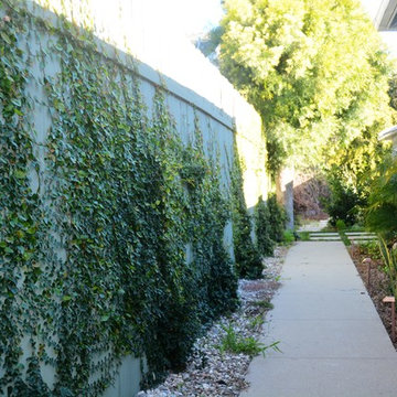 Contemporary squares