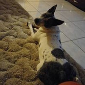 Isaac Marquez's photo
