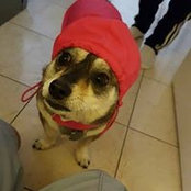 Foto von Douglas Der